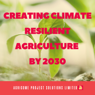 Creating Climate-Resilient Agriculture by 2030